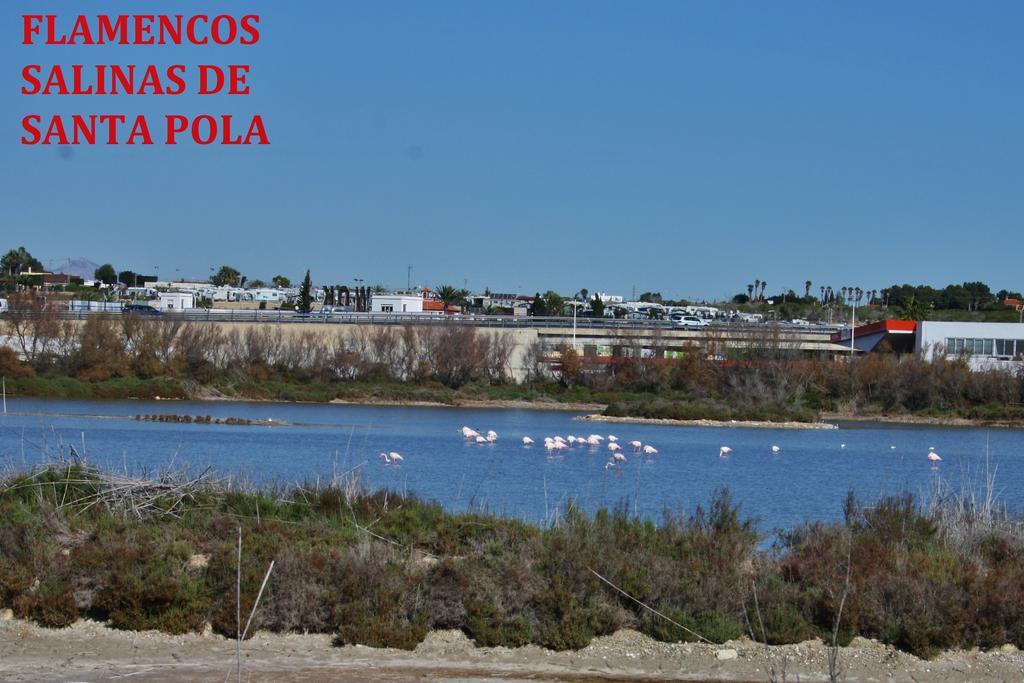 Estudio Marina De Santa Pola Exterior foto
